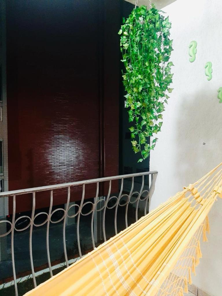 Apto Amplo, Confortavel, Bem Localizado, Asturias 과루자 외부 사진